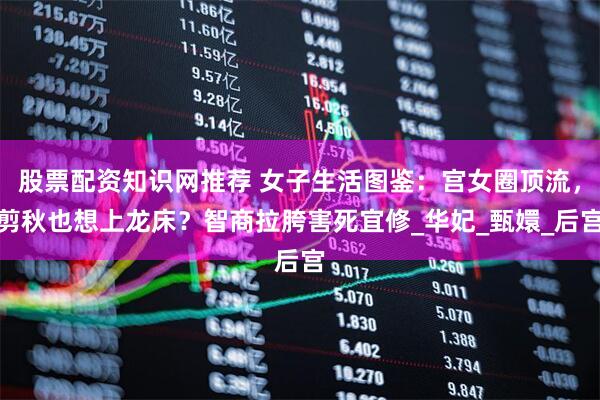 股票配资知识网推荐 女子生活图鉴：宫女圈顶流，剪秋也想上龙床？智商拉胯害死宜修_华妃_甄嬛_后宫